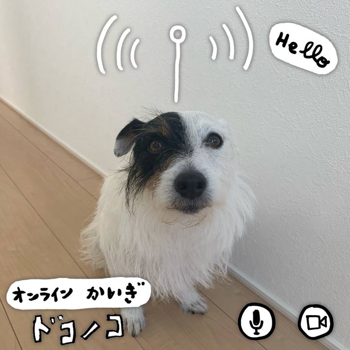 D6c33ad5 f980 49aa abc0 2b487cf3ff59 1590715245471