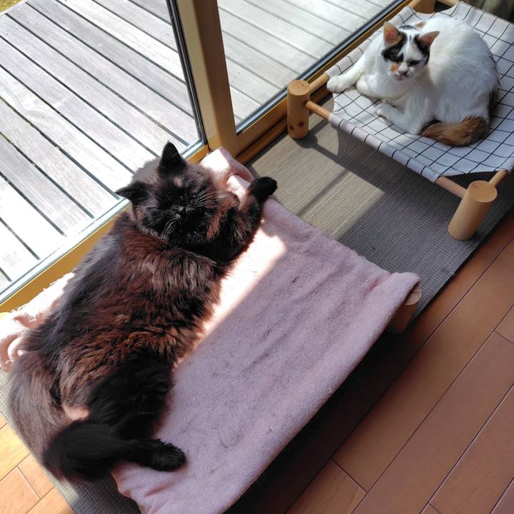 D6c33f0a c93b 4d9c 8ea8 314e40cc41d2 1749795890902