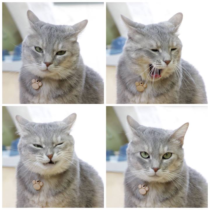 D6c34170 6a14 41df 9008 9251b9560642 1622707921556