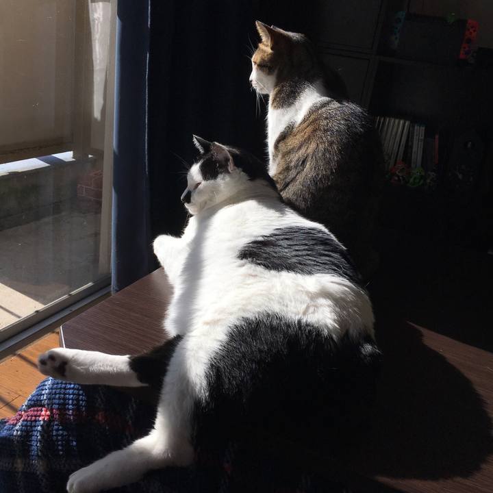 D6c38249 515e 47bf b8a7 71fff125b168 1512996134655