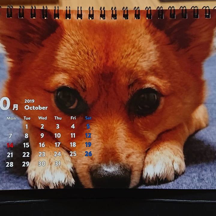 D6c39552 1019 4616 aa4c f7e355d6f8b1 1569876678447