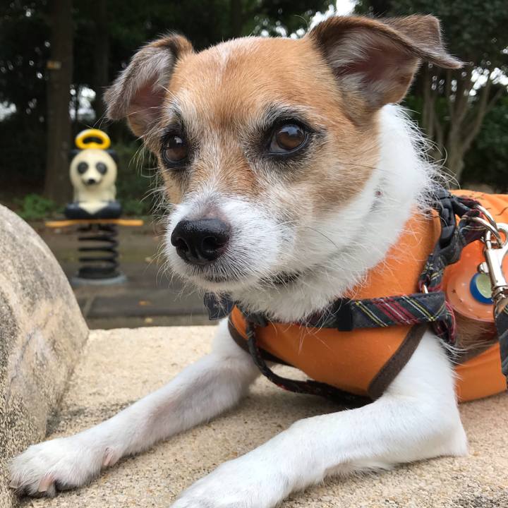 D6c3c552 c0bb 4873 b7b8 33957e7d5c24 1570437007370