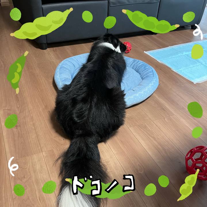 D6c3ca57 4237 44d5 84dc ea3146703ba6 1720913090729