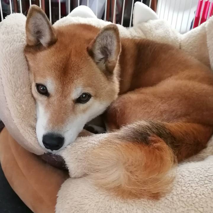 D6c3d9e6 19bb 4c6e a28e 3c0a3ff0e25a 1638576441410