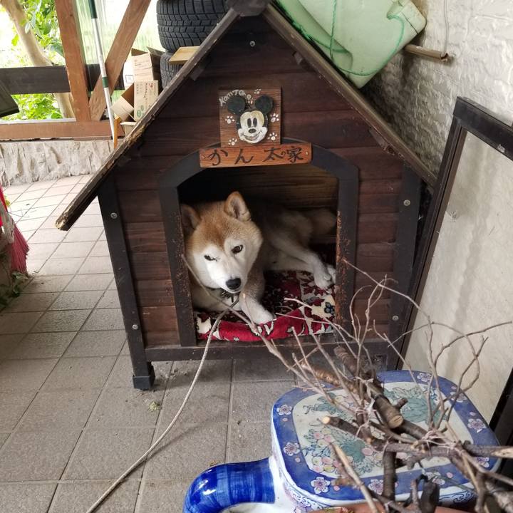 D6c3f23a 1b83 4bd6 ab39 861b37f80971 1658458386367