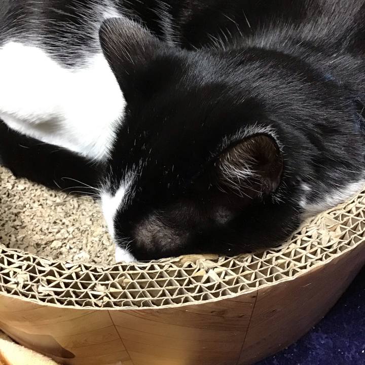 D6c40ee6 d346 4112 a258 0de2cf481a9f 1706523708005