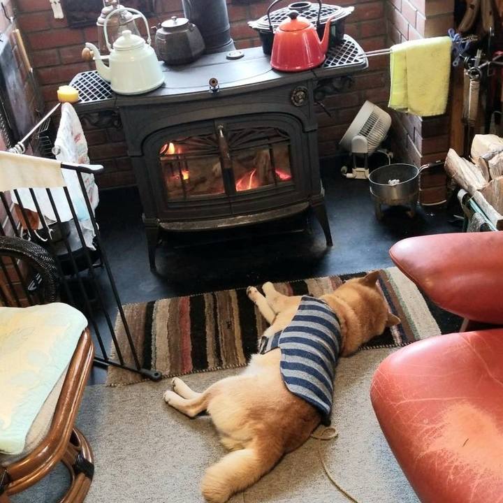 D6c43340 06b5 4f64 b86b 418456cf40a3 1611447314151