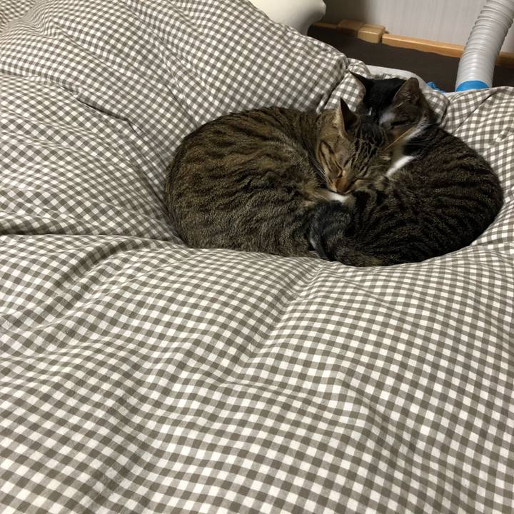 D6c444e3 7e48 4783 bad8 a30dbfa5010c 1521549905201