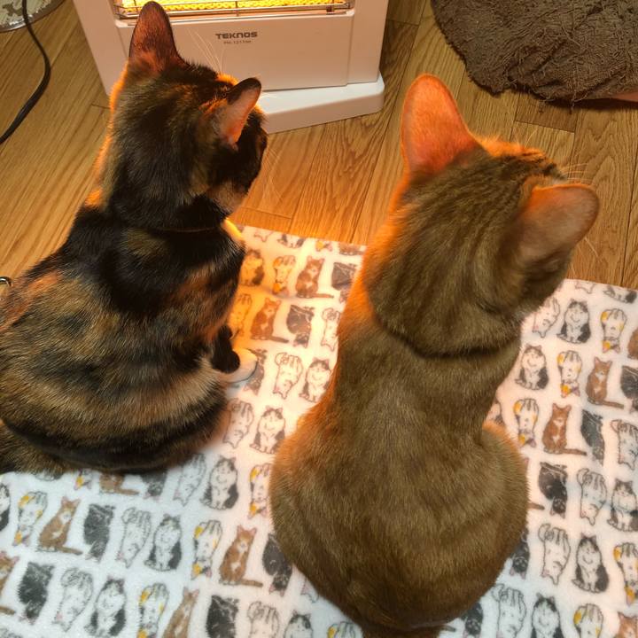 D6c476b9 6867 47d9 89d4 9c9a34f5de8b 1577436460698