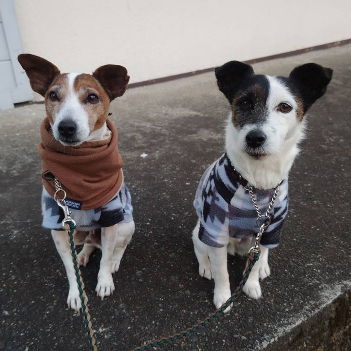 D6c4c813 cff3 4404 8d7b bb76967ea45e 1770678929402