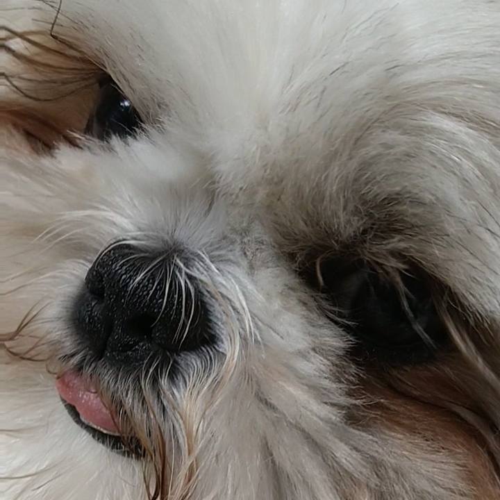 D6c4fc8e 395d 4d10 97d5 0d08fcff200d 1621775609688