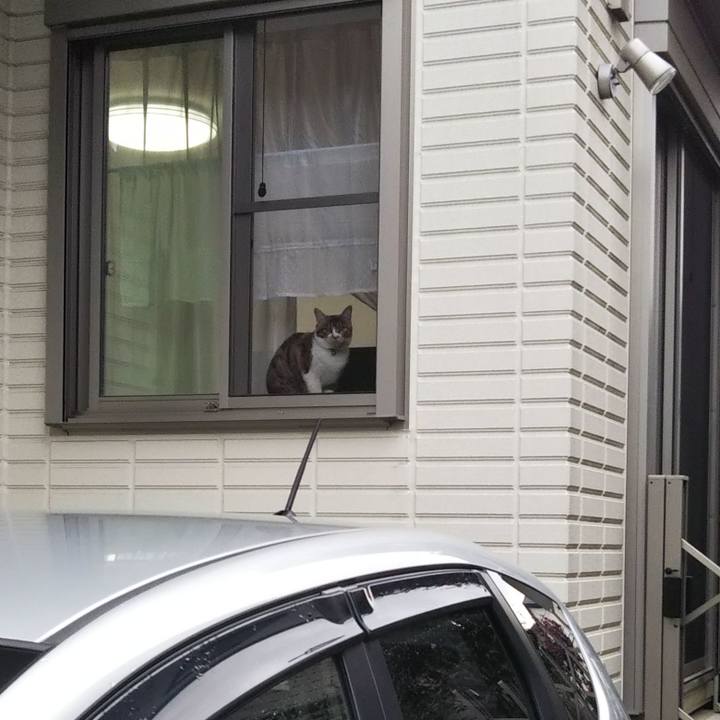 D6c562ff 7188 49fc b4b3 d2d38af12502 1649107443150