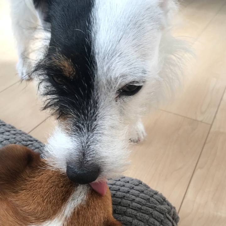 D6c584e5 eead 452d afb6 bd992ce24d86 1527378503969