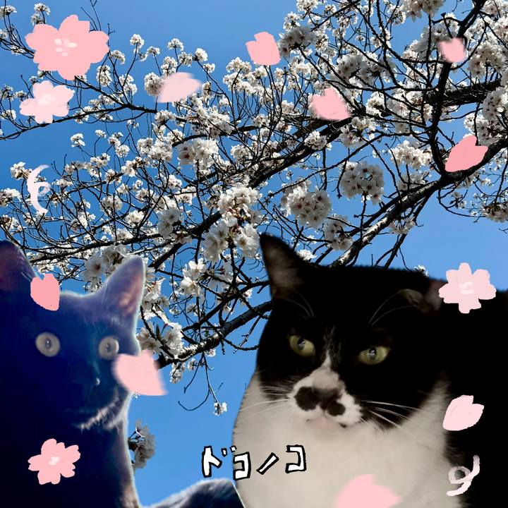 D6c5ce90 e109 4cf6 9498 d00ba846a4a1 1744345383805