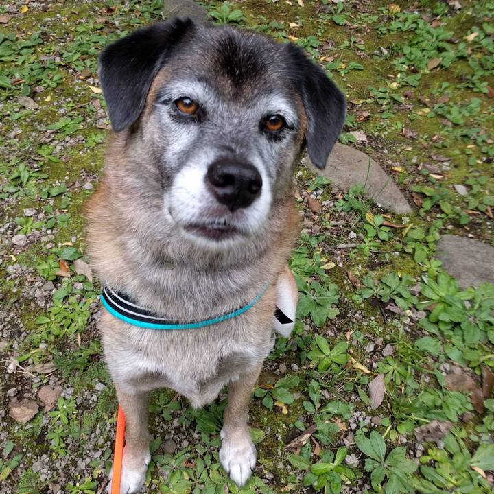 D6c6012b 50bd 4c6d bf53 b87dbb4eeb4e 1632739916407