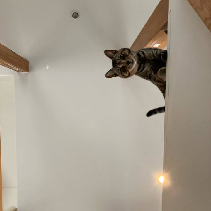 D6c60698 d426 4e03 9afb 9637f6fa16f3 1675382191144