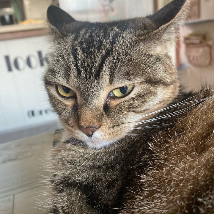 D6c6496b d335 4934 a709 2a0ff65847e7 1626381871240