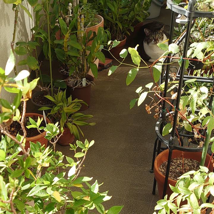 D6c667df b507 40fb 9bda 786d95e7404d 1601252619576