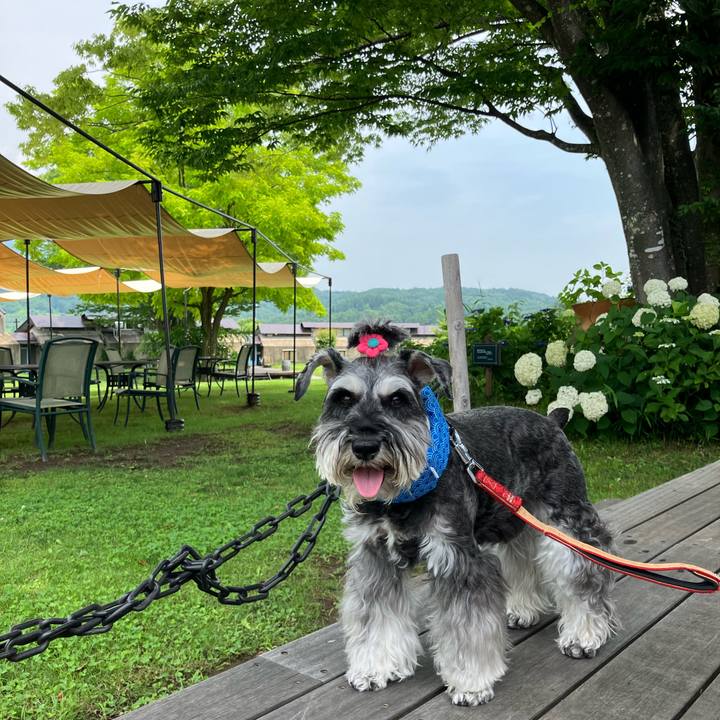 D6c67119 447b 4049 97b7 2dbb397024c5 1721543507619