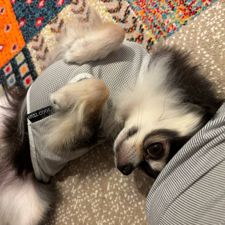 D6c67e30 86a5 41ab 9521 eaefcf5b8b71 1720367411806