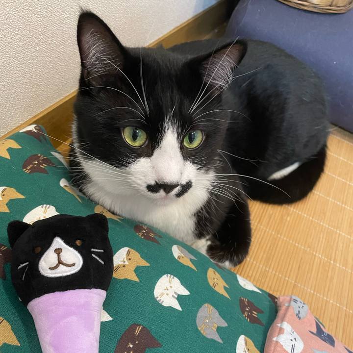 D6c6d63f 4467 464d bdeb 635afaacff56 1663720961757