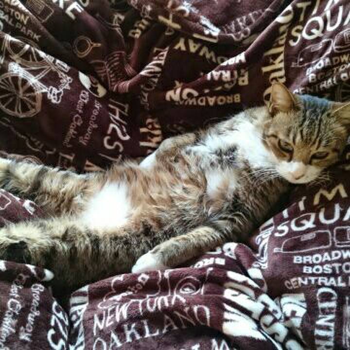 D6c6ed50 649b 42de bac0 4a176f80fcf2 1526991639037