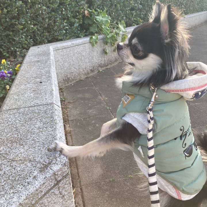 D6c7608f e62c 4055 877e c3ef686cb6b5 1610772103613