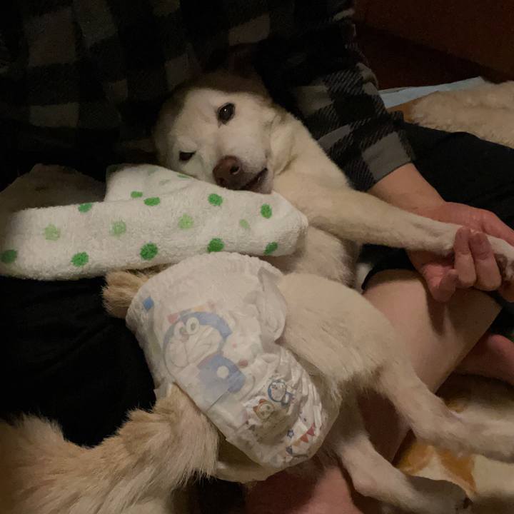 D6c772e1 5c73 4bad be36 4ef2f999dcc3 1668881952574