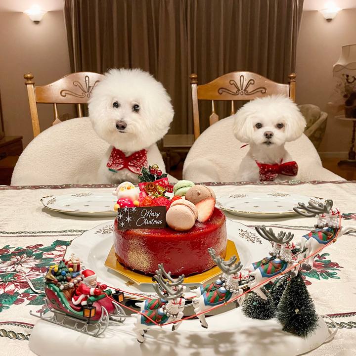 D6c786b6 810e 4ce0 97a6 0c888bbf81fb 1766703243142