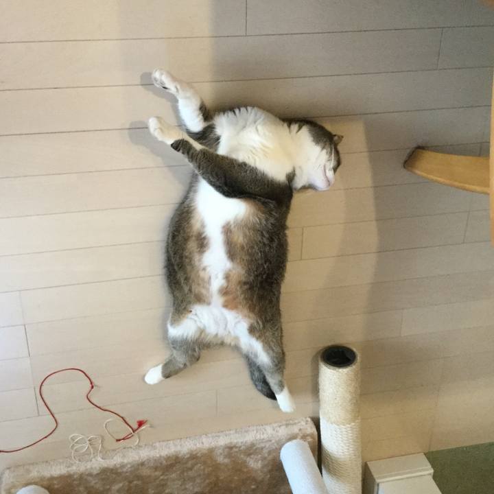 D6c79885 6f97 454f 90c1 c415c794ad61 1554331446989