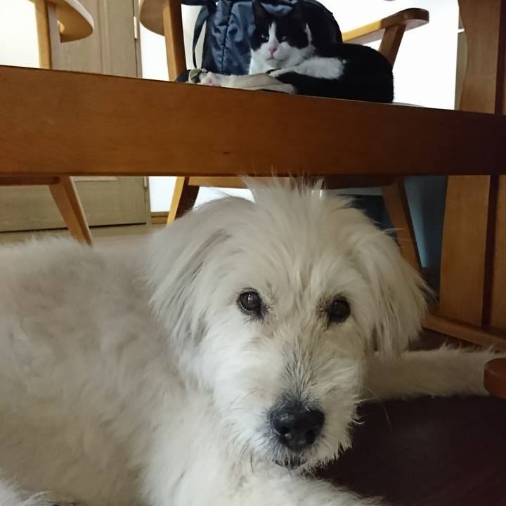 D6c79d6e ba67 4311 ab6b 22922824c65b 1598171726924