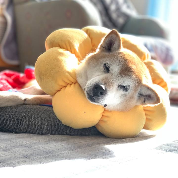 D6c7d830 354e 4a59 86cb 70d8855ba801 1577494694662