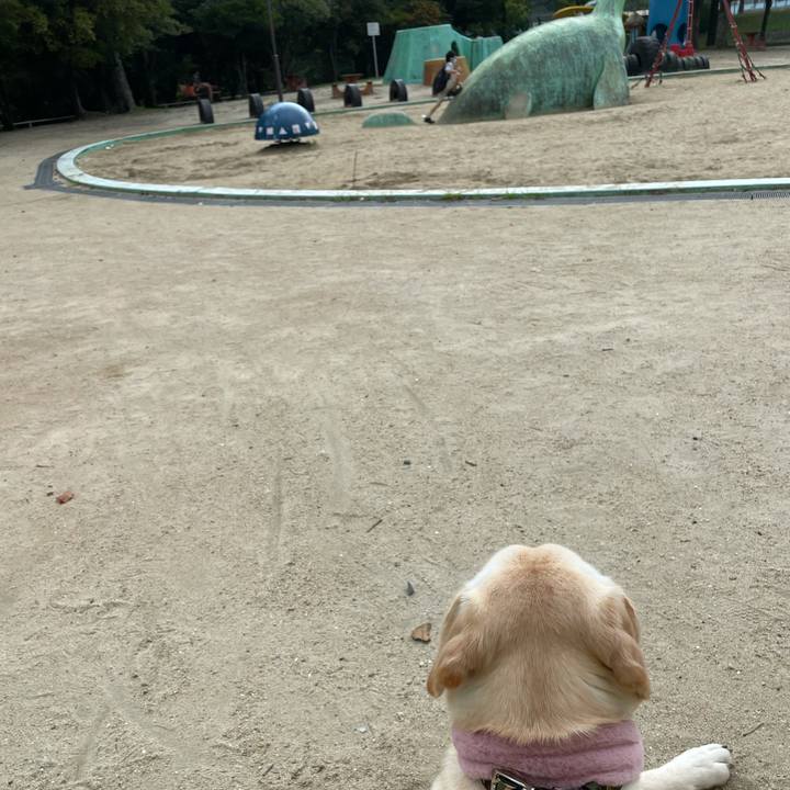 D6c7e3eb 91a6 470c 9a6e 8705628cd803 1630987986315