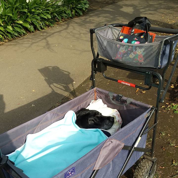 D6c7e443 f59c 488c 9544 ff6e7783a24b 1730676846487