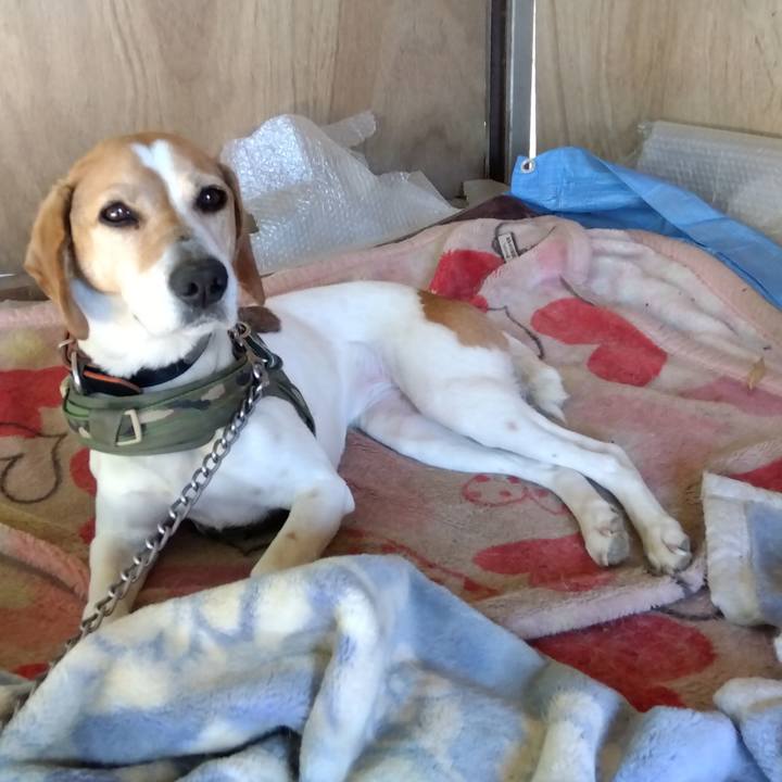 D6c80d1c 0e5d 45da a8d4 0f9037477619 1684385692537