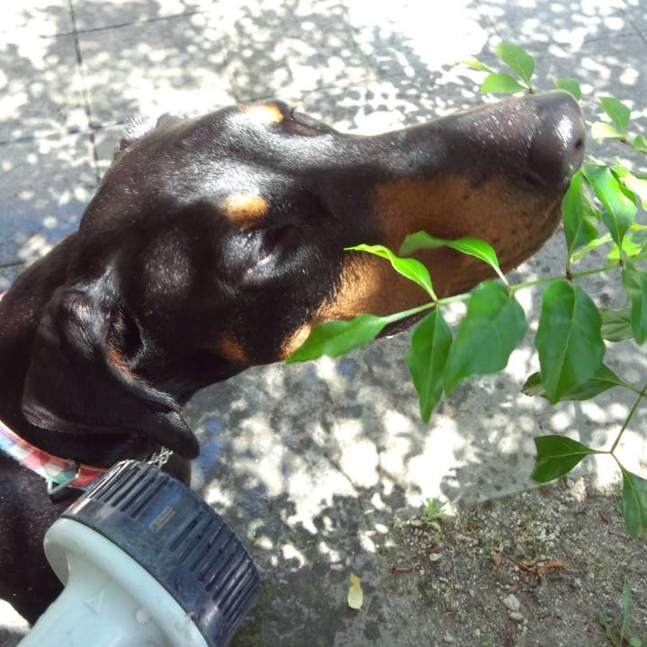 D6c8252e d728 4111 be31 9a977cdcf1ab 1764136758602