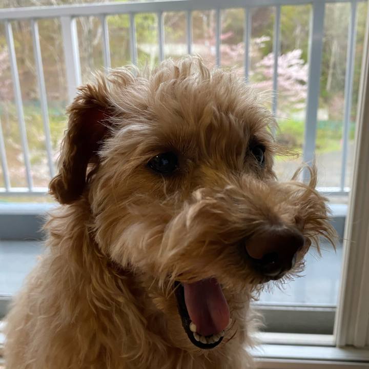 D6c8423f 2647 4913 a8f5 f6c95c114921 1619838645405