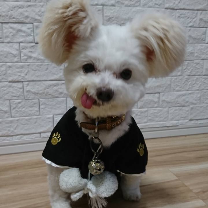 D6c85e3a 203c 47a2 8027 174c5d8f6c80 1577877926664