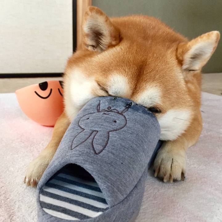 D6c87701 76c1 401f a8a9 b457fd129710 1514689441980