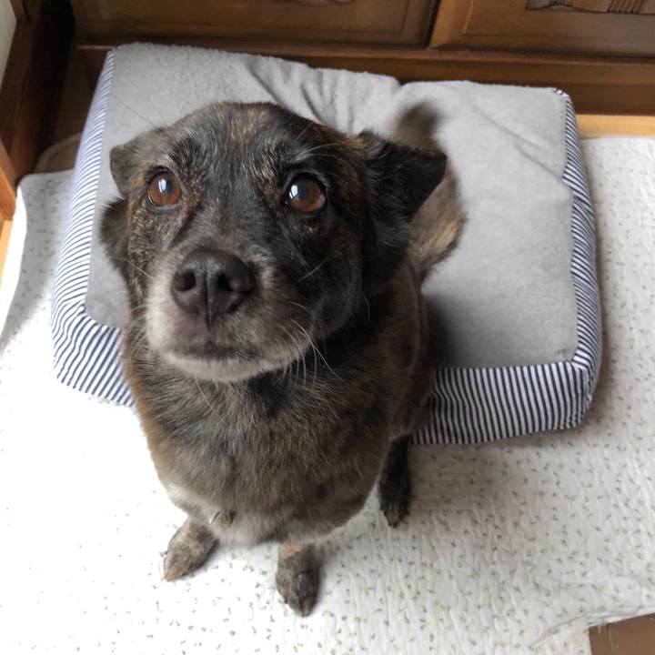 D6c8c958 9811 4bc3 98ce 1135a2ae9a36 1563709522596