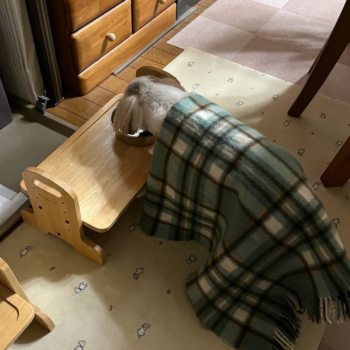 D6c8d042 0268 4cfd a270 6690859c0cea 1703458988971