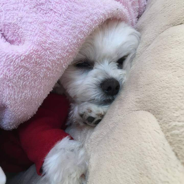 D6c91672 e409 444f 8b63 a5fa502753a1 1509663300481