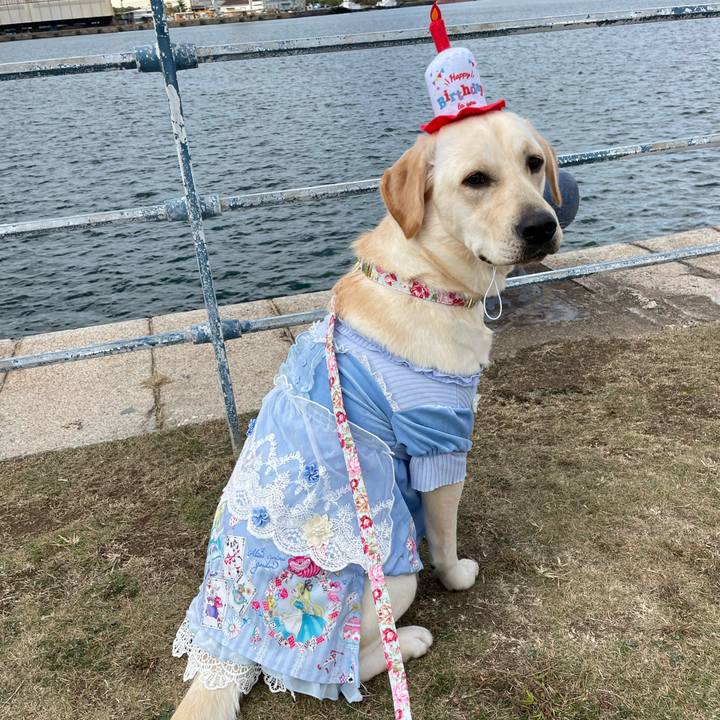 D6c91d37 f195 4fe6 bf94 96d5a37abbb9 1636889868422