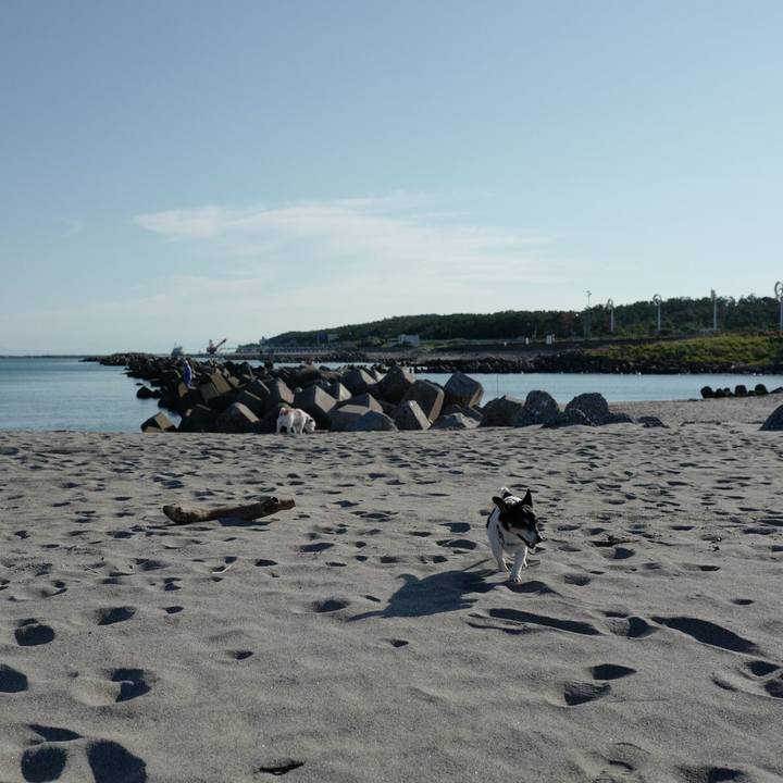 D6c91f88 c503 4944 99d5 264070b1081a 1568435594300