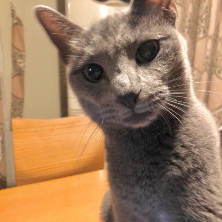 D6c939ed f515 4325 b7d1 f487d713feb7 1627954158895