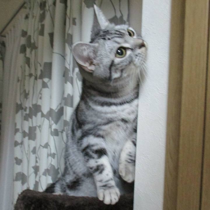 D6c94986 4606 4c9e 8bee ff6acf562958 1543656639330