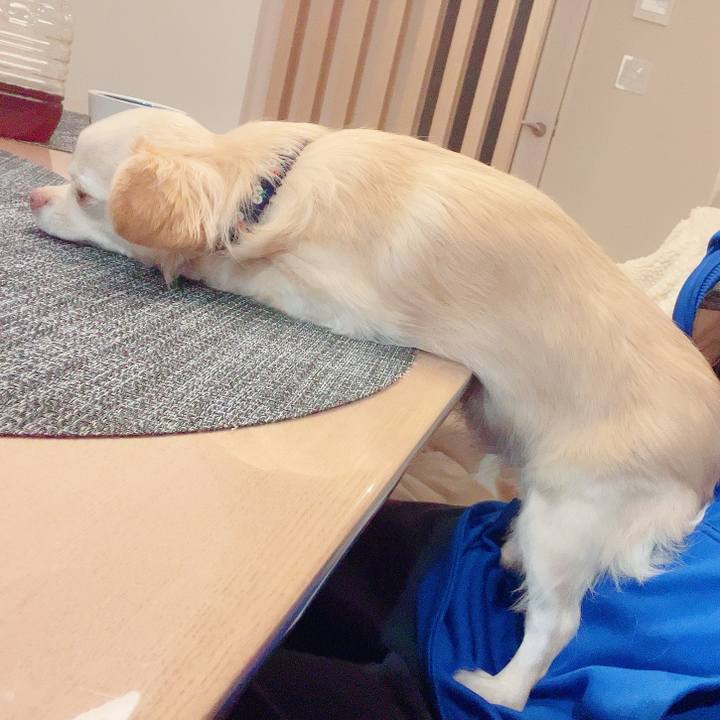 D6c96351 109e 4210 ba6f 04fd401c3bd1 1731932802162