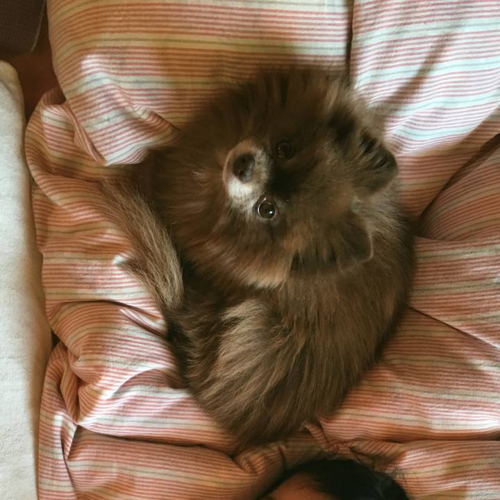 D6c99a28 732b 4c51 b623 1dd0254db22c 1510881092242