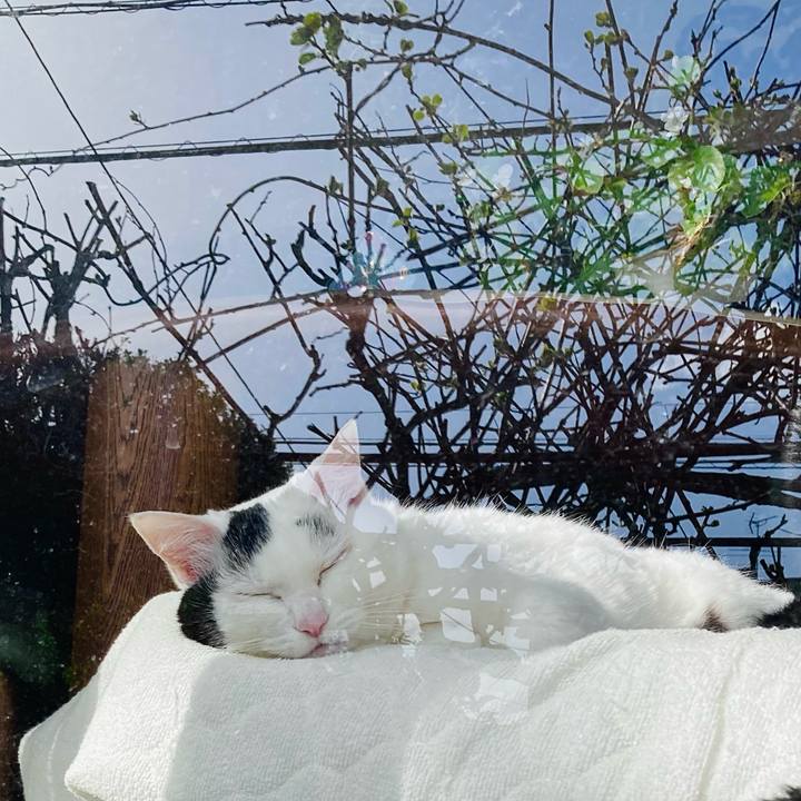 D6ca28fd 3bd3 4007 a3db 2a0f6bb354ee 1650612934816