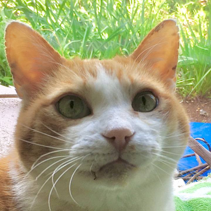 D6ca442d 7907 45ba bc95 ce7ffaa98a5e 1620801751563